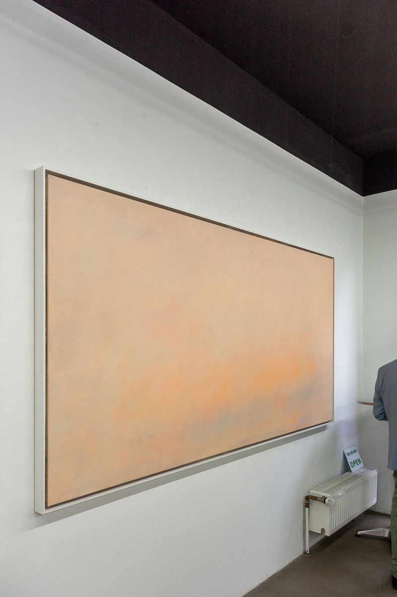 Johannes Gerv&eacute;: VASTNESS