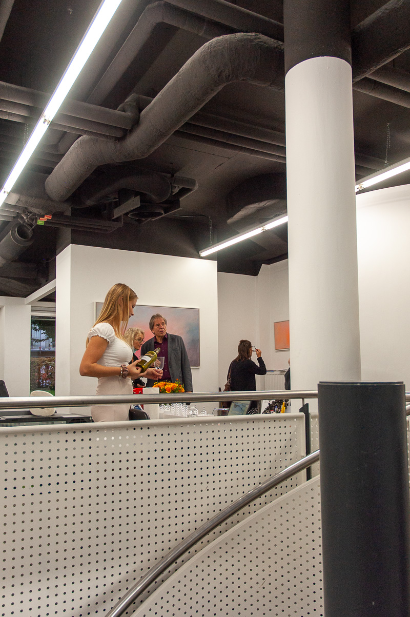 Johannes Gerv&eacute;: VASTNESS