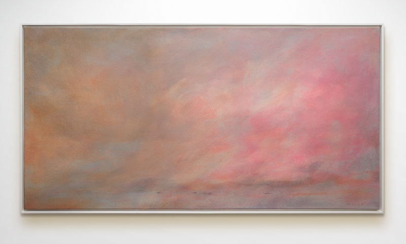 Johannes Gerv&eacute;: Rosa Wolke