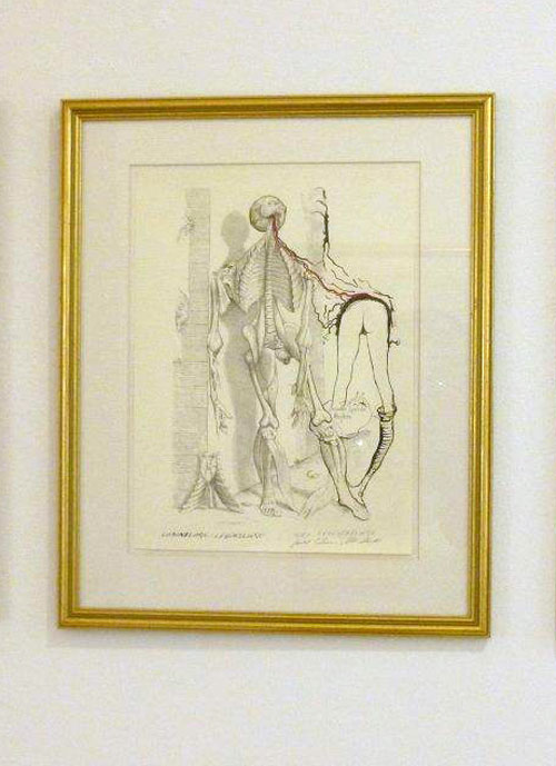 Pavel Schmidt: verh&ouml;&auml;ltnism&auml;ssig masslos vermessen